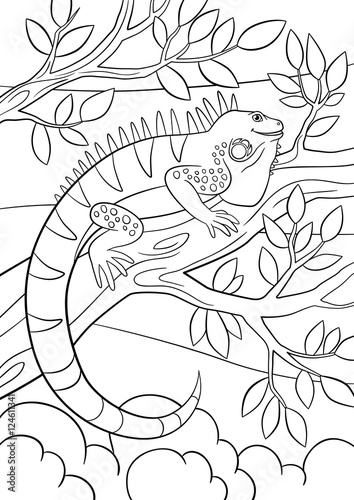 Coloring pages. Cute iguana sits on the tree branch.