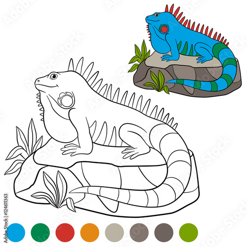 Color me: iguana. Cute blue iguana sits on the rock.