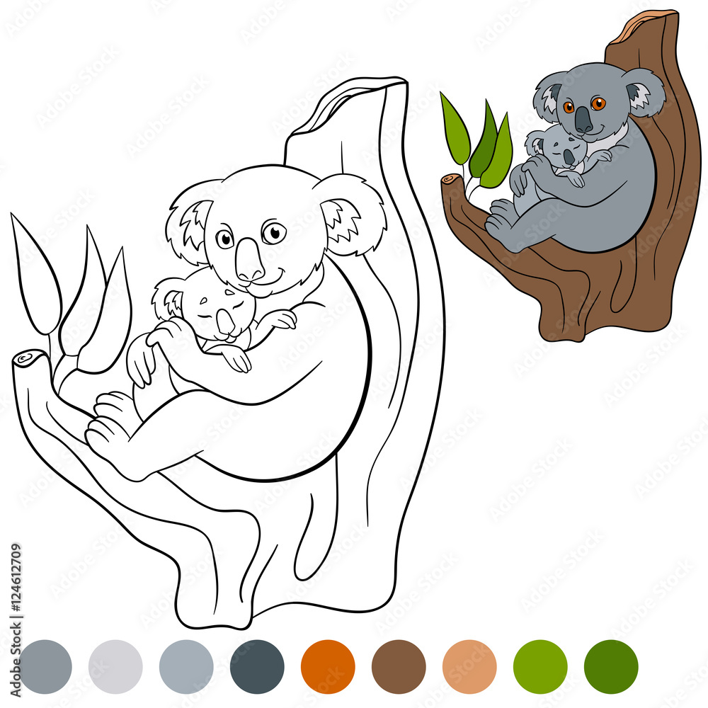 Obraz premium Color me: koala. Mother koala with her cute baby.