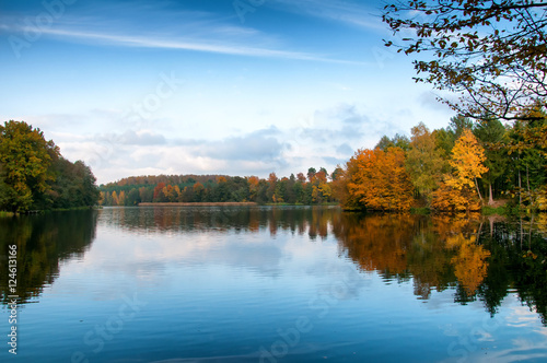 Beautiful forest and lake in autumn