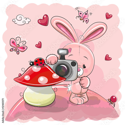 Cute cartoon Rabbit with a camera