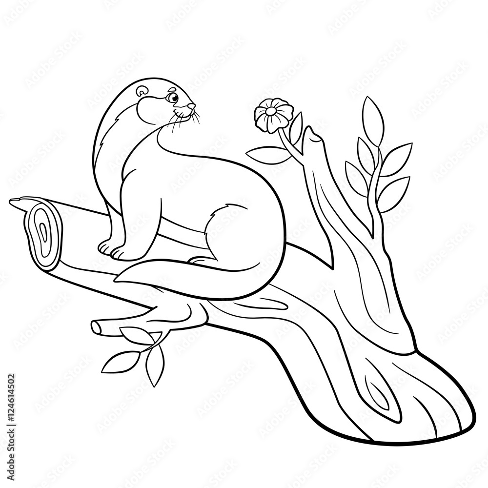 Coloring pages. Little cute otter sits on the tree branch. Coloring pages. Little cute otter sits on the tree branch.