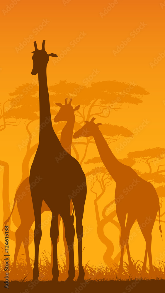 Naklejka premium Vertical illustration of wild giraffes in African savanna.