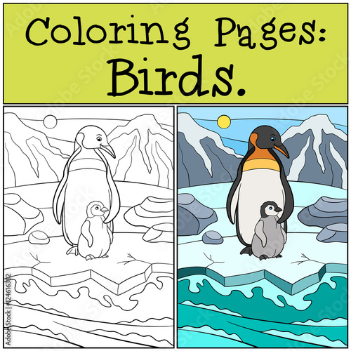 Coloring Pages: Birds. Mother penguin with her baby.