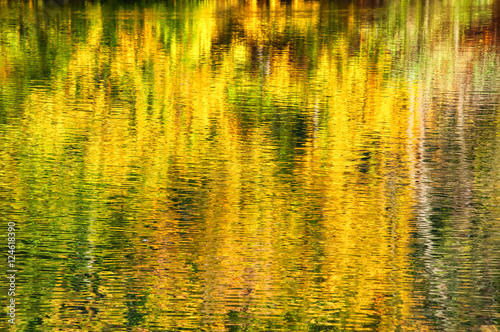 Beautiful reflection on lake in autumn