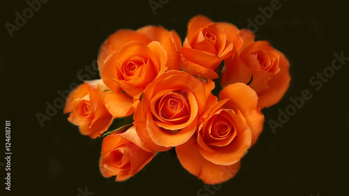 Many orange roses in bunch