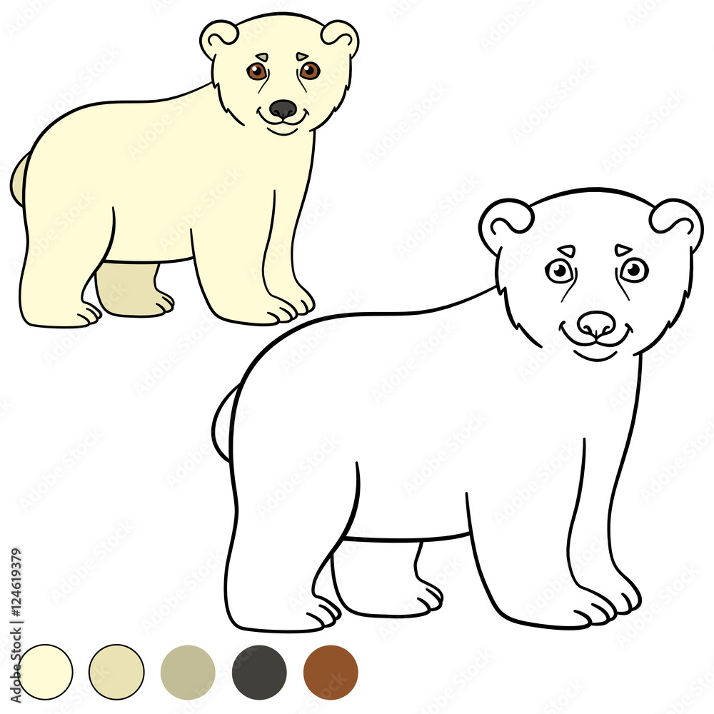 Coloring page. Little cute baby polar bear. Coloring page. Little cute baby polar bear.