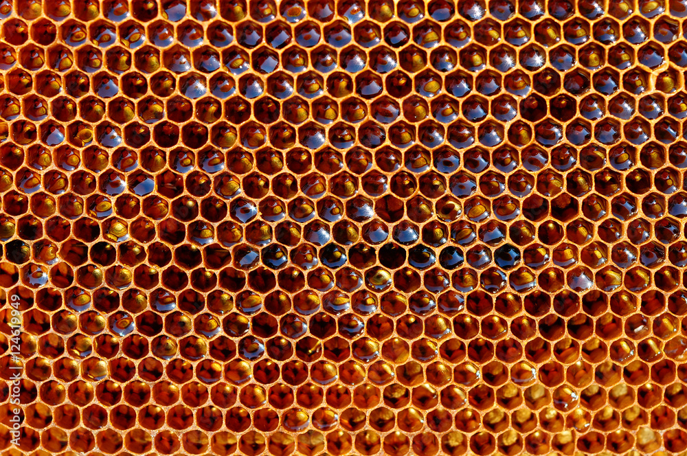 fresh honey in cells, honeycomb natural background