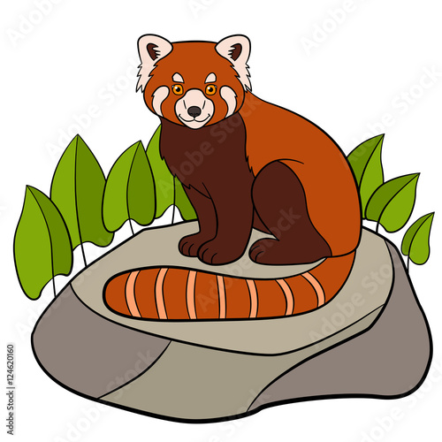 Fototapeta Naklejka Na Ścianę i Meble -  Cartoon wild animals. Little cute red panda smiles.