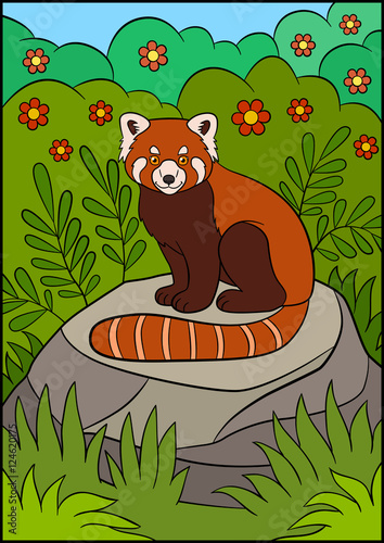 Fototapeta Naklejka Na Ścianę i Meble -  Cartoon wild animals. Little cute red panda smiles.
