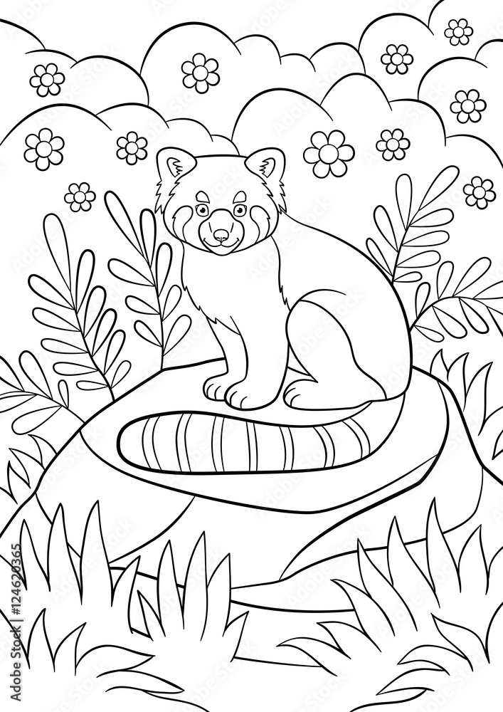 Naklejka premium Coloring pages. Little cute red panda smiles.