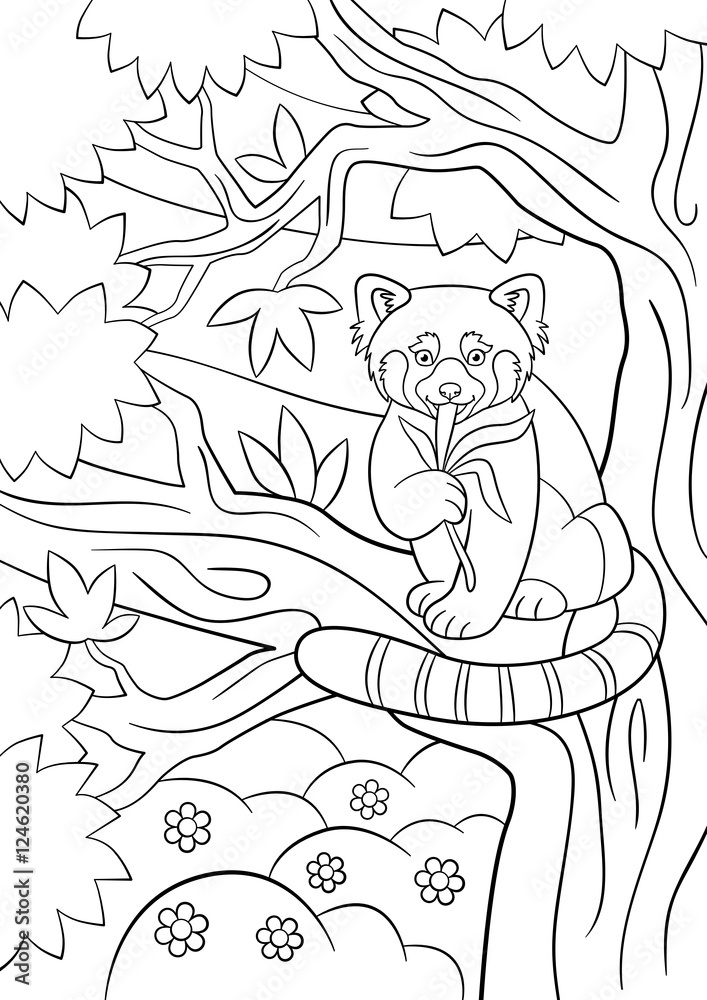 Fototapeta premium Coloring pages. Little cute red panda eats leaves.