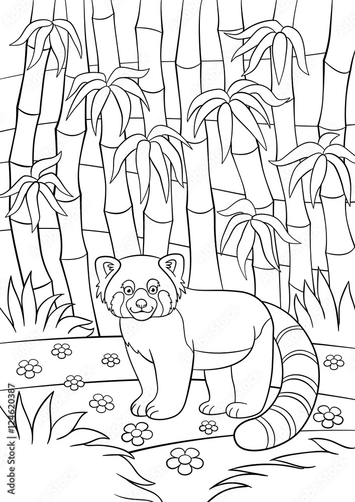 Fototapeta premium Coloring pages. Little cute red panda in the forest.