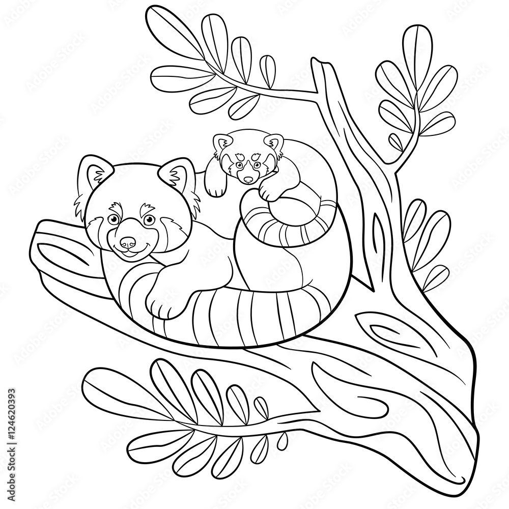 Obraz premium Coloring pages. Mother red panda with her cute baby.