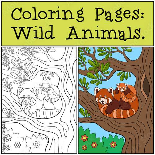 Fototapeta Naklejka Na Ścianę i Meble -  Coloring Pages: Wild Animals. Mother red panda with her baby.