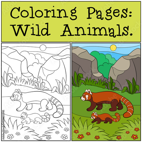 Fototapeta Naklejka Na Ścianę i Meble -  Coloring Pages: Wild Animals. Mother red panda walks with baby.