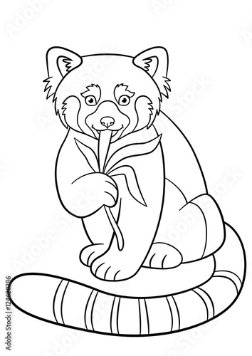 Fototapeta Naklejka Na Ścianę i Meble -  Coloring pages. Little cute red panda eats leaves.