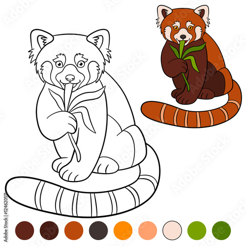 Fototapeta Naklejka Na Ścianę i Meble -  Coloring page: red panda. Little cute red panda eat leaves.