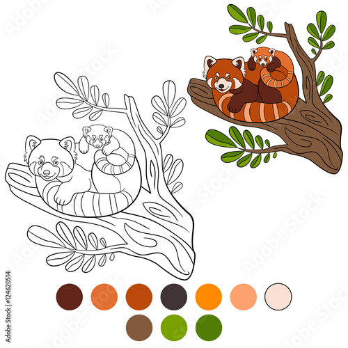 Fototapeta Naklejka Na Ścianę i Meble -  Coloring page: red panda. Mother red panda with her baby.