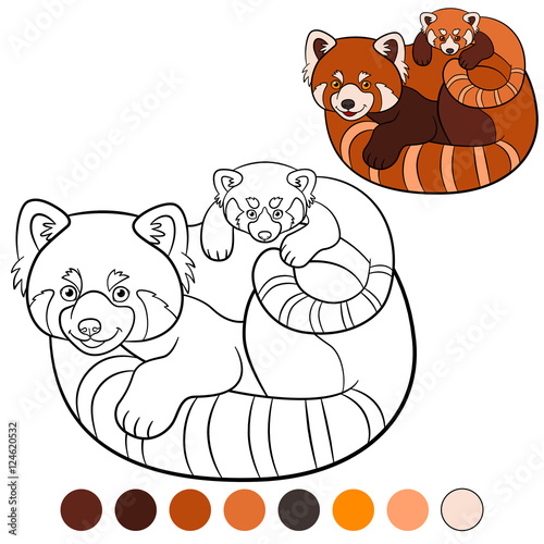 Fototapeta Naklejka Na Ścianę i Meble -  Coloring page: red panda. Mother red panda with her baby.