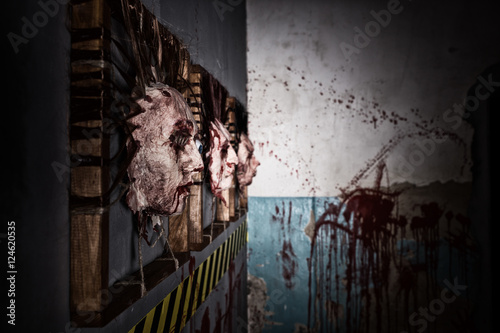 Side view of the ghastly skins from human heads stuck in square