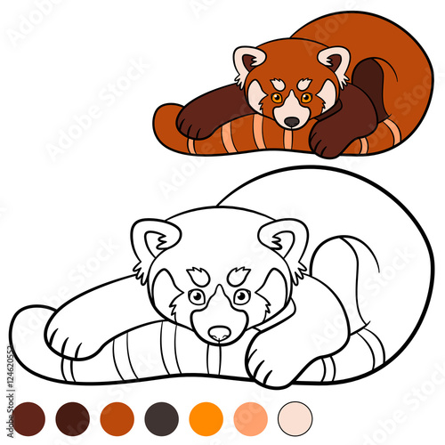 Fototapeta Naklejka Na Ścianę i Meble -  Coloring page: red panda. Little cute red panda.