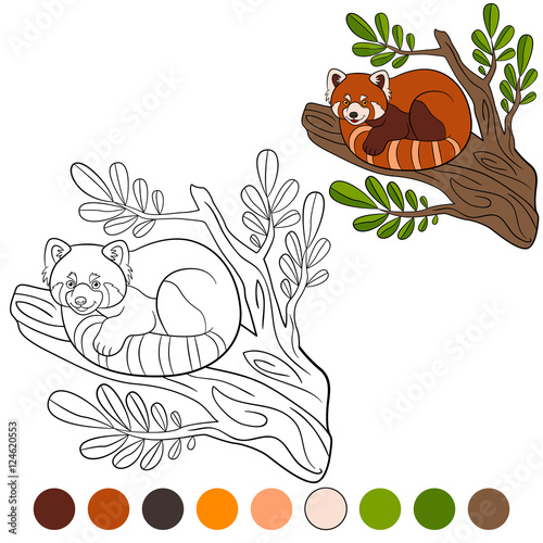 Fototapeta Naklejka Na Ścianę i Meble -  Coloring page: red panda. Little cute red panda.