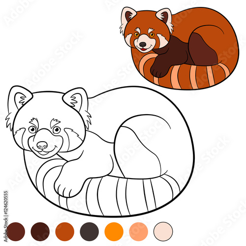 Fototapeta Naklejka Na Ścianę i Meble -  Coloring page: red panda. Little cute red panda.