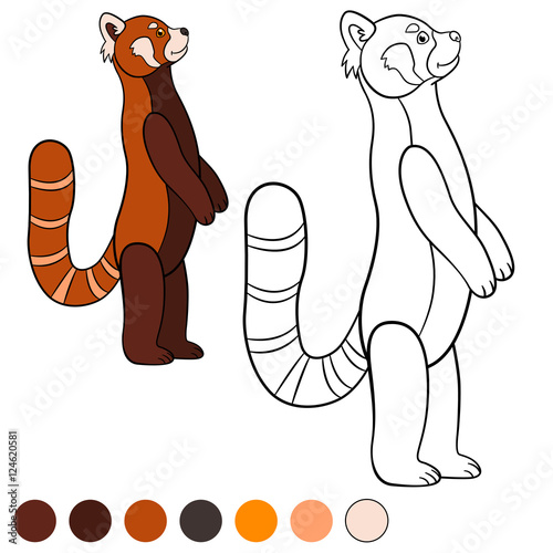 Fototapeta Naklejka Na Ścianę i Meble -  Coloring page: red panda. Little cute red panda smiles.