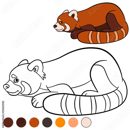 Fototapeta Naklejka Na Ścianę i Meble -  Coloring page: red panda. Little cute red panda.