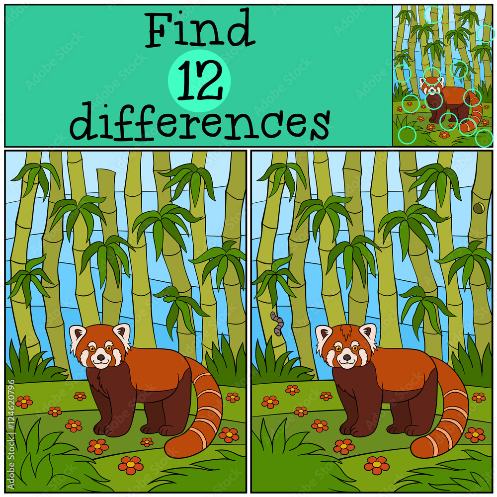Fototapeta premium Educational game: Find differences. Little cute red panda smiles