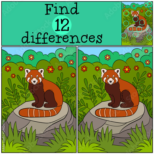 Fototapeta Naklejka Na Ścianę i Meble -  Educational game: Find differences. Little cute red panda.
