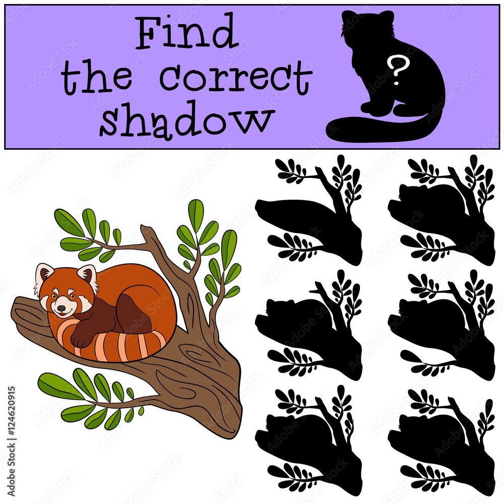 Obraz premium Educational game: Find the correct shadow. Little cute red panda