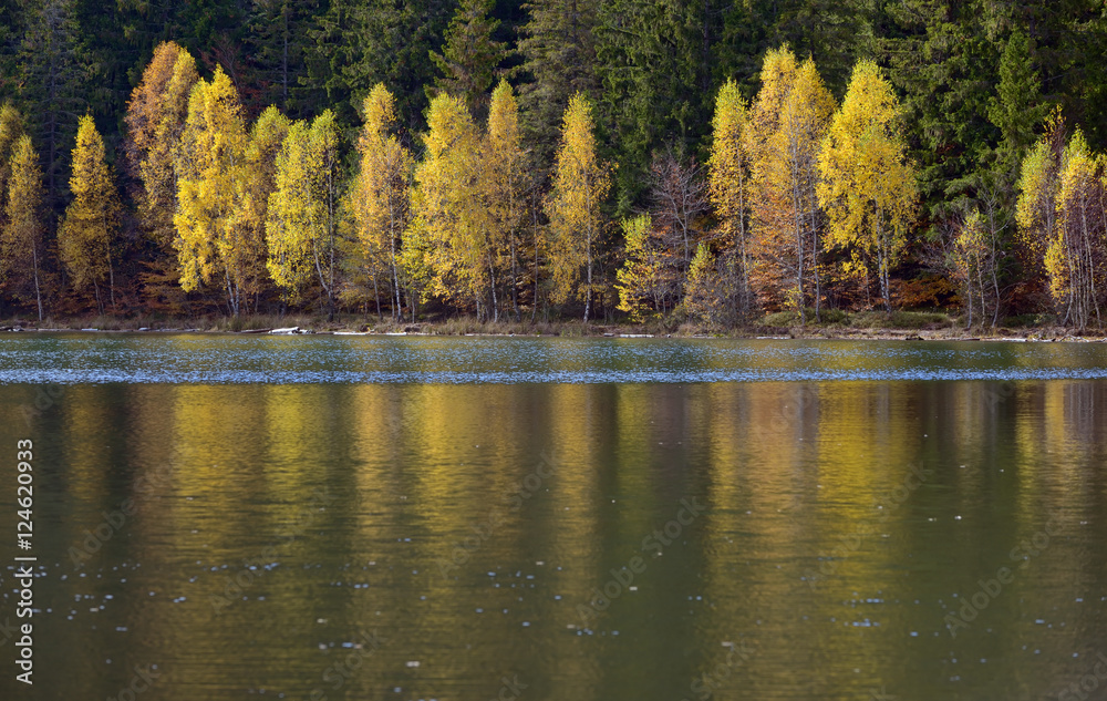 Autumn with the yellow foliage, reflected in Lake Autumn with the yellow foliage, reflected in Lake