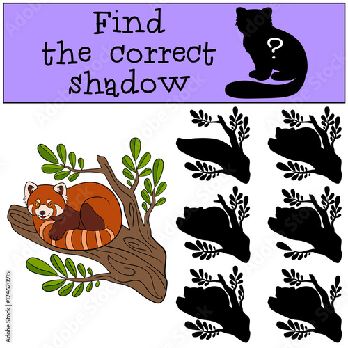 Fototapeta Naklejka Na Ścianę i Meble -  Educational game: Find the correct shadow. Little cute red panda