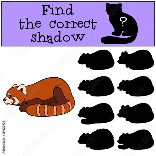 Fototapeta Naklejka Na Ścianę i Meble -  Educational game: Find the correct shadow. Little cute red panda