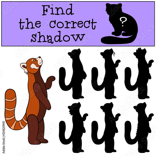 Fototapeta Naklejka Na Ścianę i Meble -  Educational game: Find the correct shadow. Little cute red panda