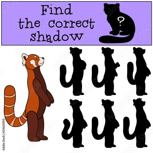 Fototapeta Naklejka Na Ścianę i Meble -  Educational game: Find the correct shadow. Little cute red panda