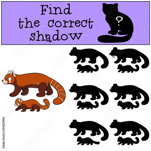 Fototapeta Naklejka Na Ścianę i Meble -  Educational game: Find the correct shadow. Red panda with baby.