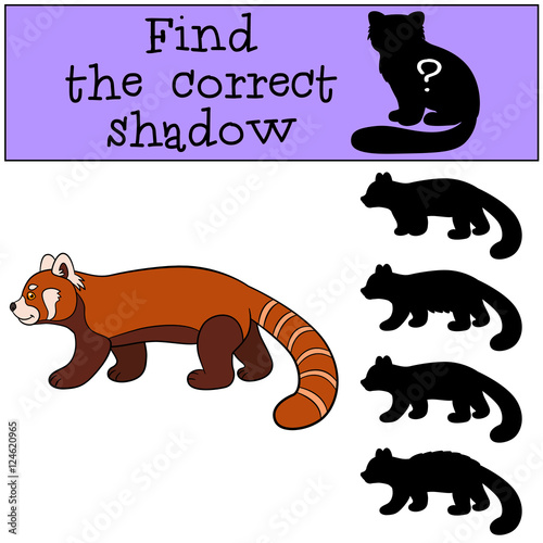 Fototapeta Naklejka Na Ścianę i Meble -  Educational game: Find the correct shadow. Little cute red panda