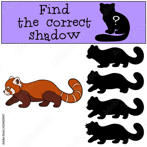 Fototapeta Naklejka Na Ścianę i Meble -  Educational game: Find the correct shadow. Little cute red panda