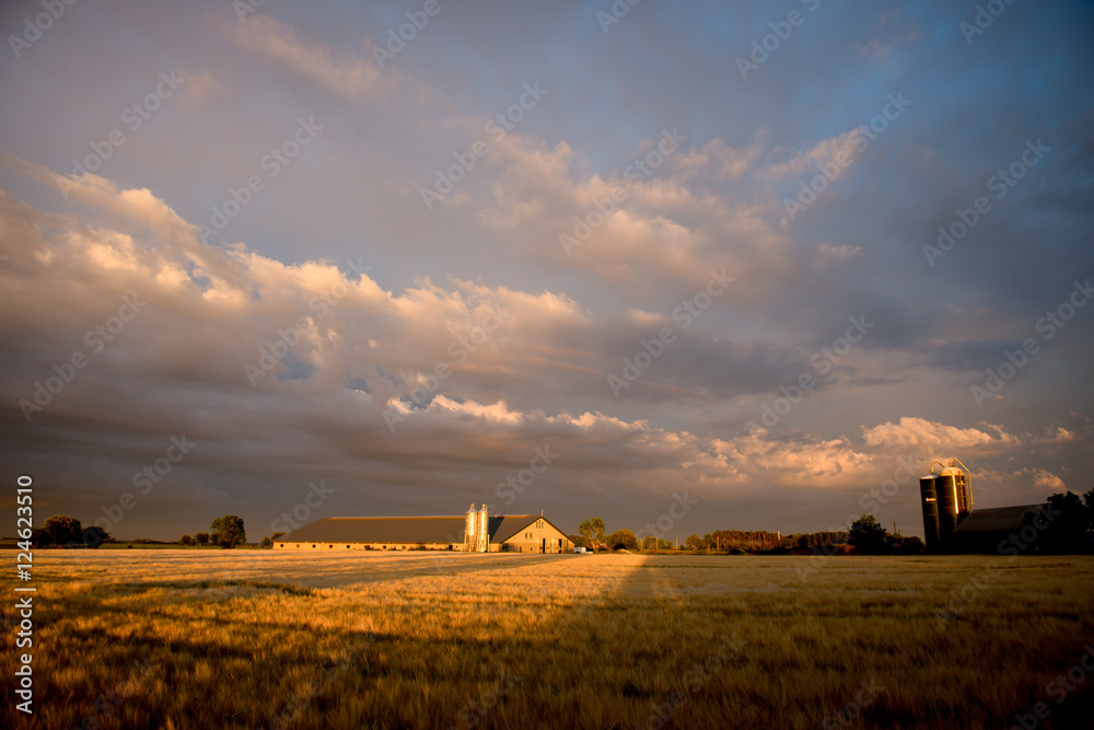 Fototapeta premium Farmland in Sweden