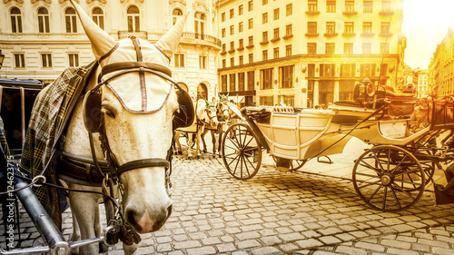 typical horse carriage in Vienna Austria photo