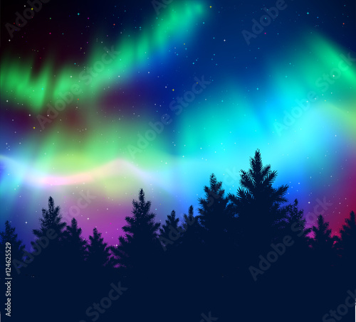 Winter background with northern lights