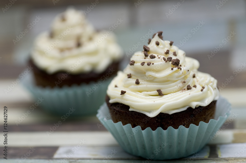 Chocolate and Vanilla cupcakes