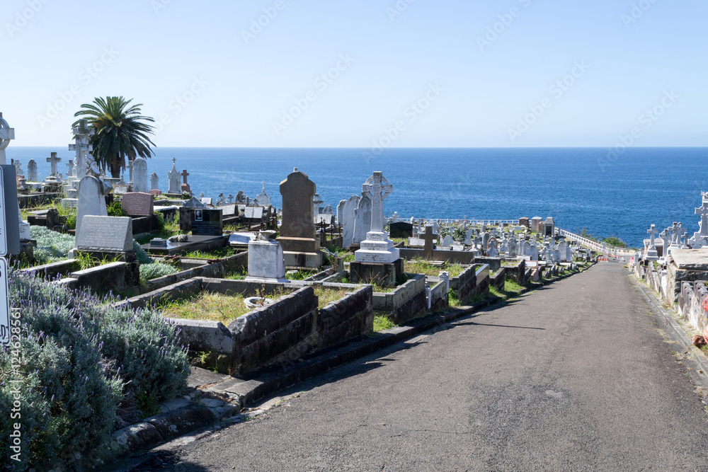 Naklejka premium Waverley Cemetery in Sydney