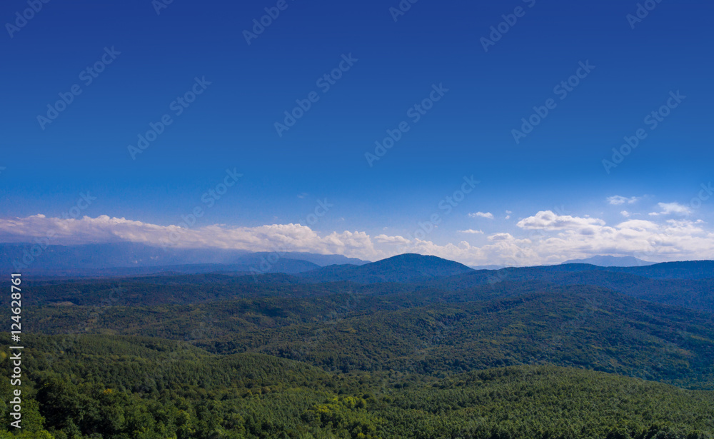 Aerial landscape. Hills covered with forest.