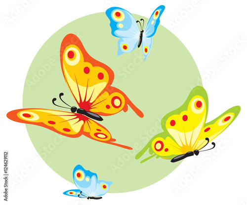 flying color butterflies © labitase