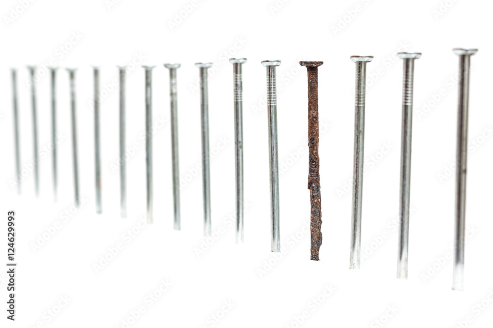 Old rusty nail between new ones Old rusty nail between new ones