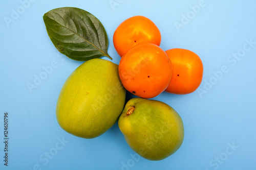 persimmon and chinese quince on blue backgroumd photo